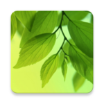 Logo of Leaf Live Wallpaper android Application 