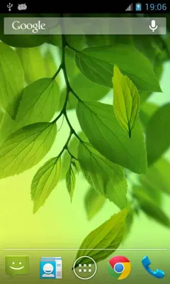 Leaf Live Wallpaper android App screenshot 0