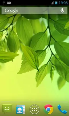 Leaf Live Wallpaper android App screenshot 1